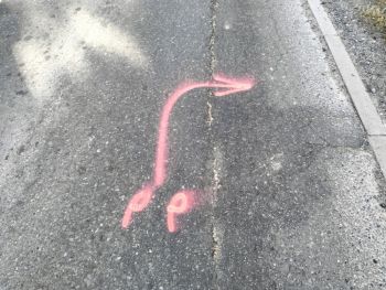 Trasa je vyznačena tradičními šipkami na silnici